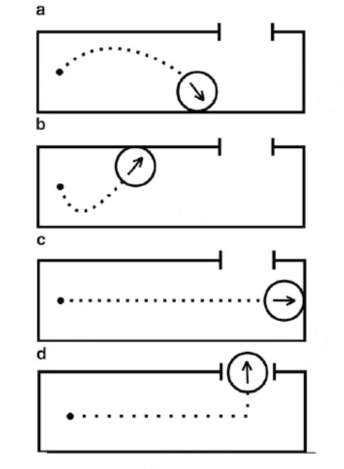 《为什么伟大不能被计划》关于目标的思考
